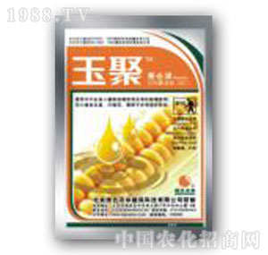 �Gɫ�r�A-���������՚�