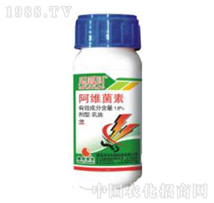 �Gɫ�r�A-���ɽ�