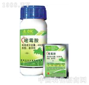 �Gɫ�r�A-����Ó