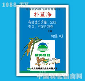 �ٰ�-50%��݃�