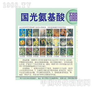 ����-��������