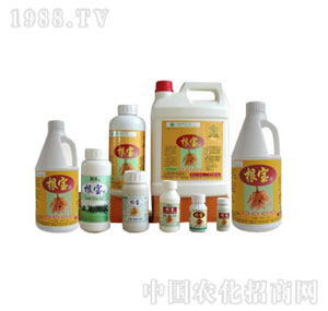 ����-�������������焩