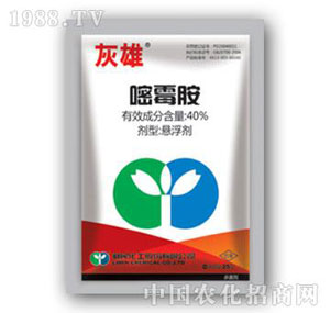 ����-����