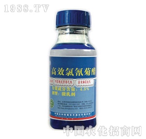 �б�-����