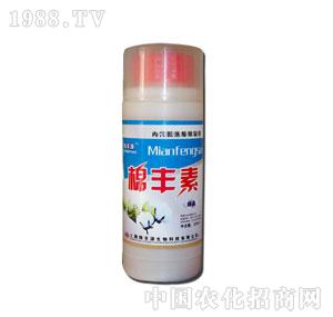 ��SԴ-���S��