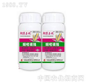 ���r(n��ng)-40g���׻�¡�͑Ҹ��������r(n��ng)��g��