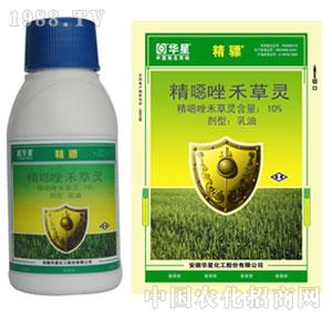 �A��-10%���f��̲��`�����EC����򊣩