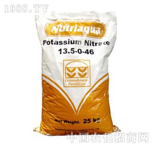 ��ͨ-�����