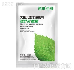 ����-֪�~20-12-18