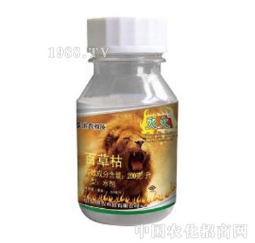 �I�r�Ƽ�-���