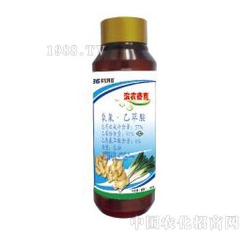 �I�r�Ƽ�-�I�r����