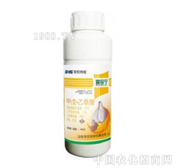 �I�r�Ƽ�-�㱣��