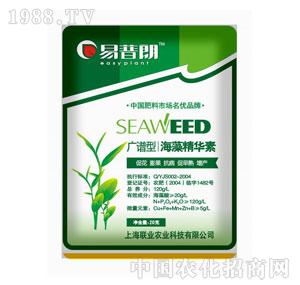 �Ϻ�(li��n)�I(y��)-���徫�A�أ�����