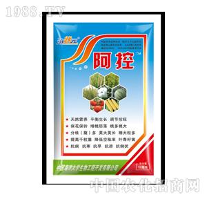 ����Ԫ-����