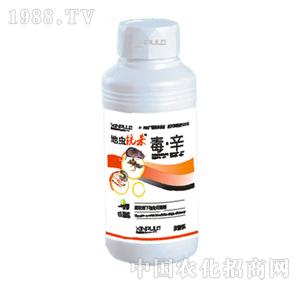 ���՘�(l��)-���x