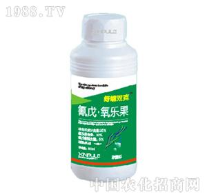 ���՘�-����������