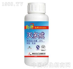 ���ʿ�-20%���������