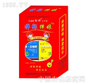 ���ʿ�-��N�����ɰ���