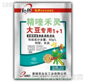 ���ʿ�-��୺��`�����1+1