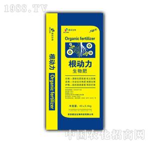 ����-����(d��ng)�������