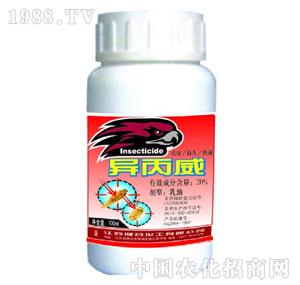 ���Ȼ���-20%����������