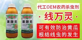 山東海而三利生物化工有限公司