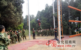 �𱬾W(w��ng)�j��չӖ��֮�߿Ք���