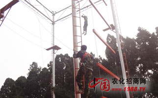 �𱬾W(w��ng)�j��չӖ��֮�߿Ք���