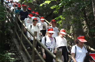 ������Ӗ