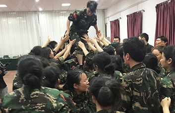 單槍匹馬難跨越，百人抱團筑長城！