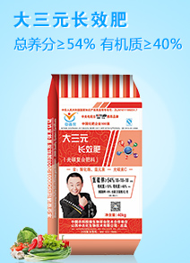 ɽ�����r(n��ng)�����＼�g(sh��)���޹�˾